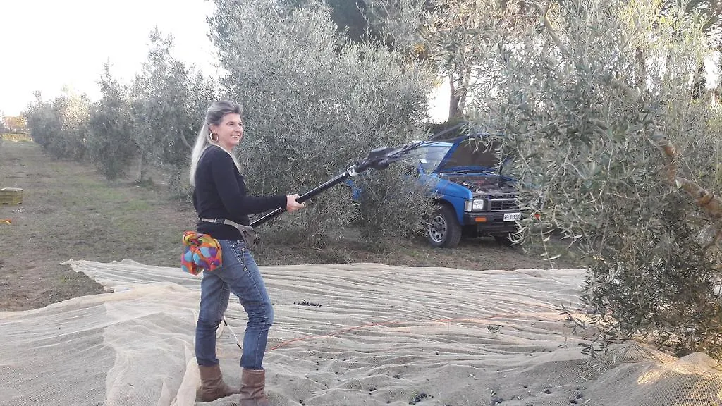Фермерский дом Azienda Agrituristica Il Poggetto Delle Spighe Коллесальветти