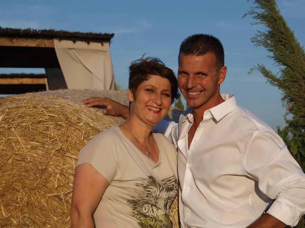 Azienda Agrituristica Il Poggetto Delle Spighe Collesalvetti