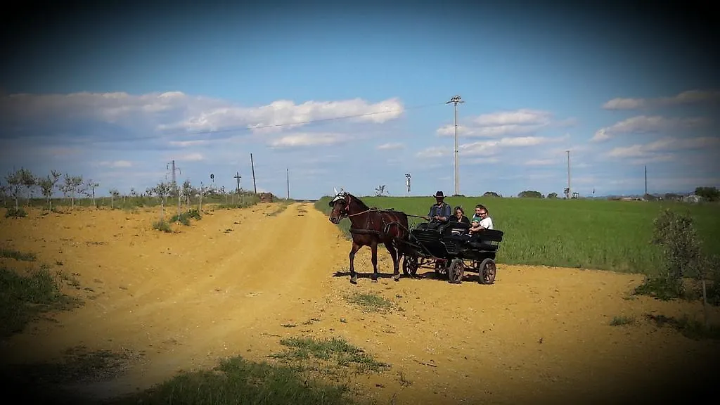 Azienda Agrituristica Il Poggetto Delle Spighe Collesalvetti Farma