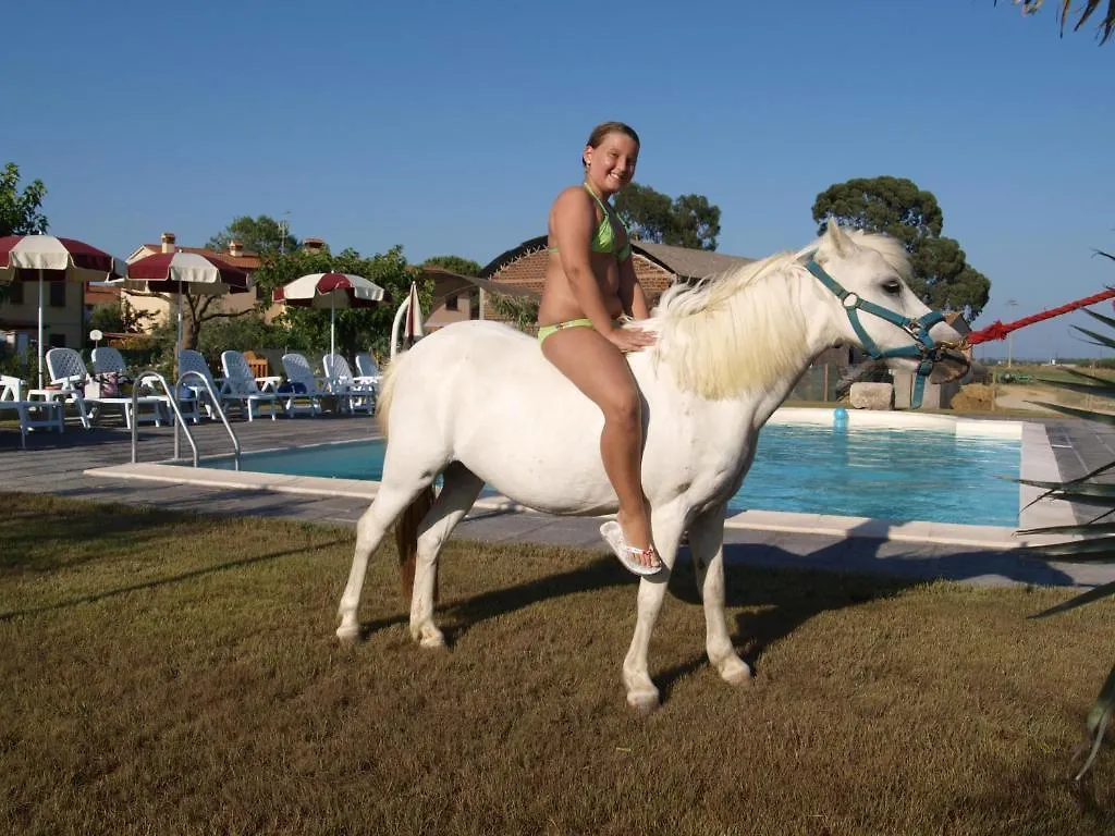 Azienda Agrituristica Il Poggetto Delle Spighe Collesalvetti Itálie