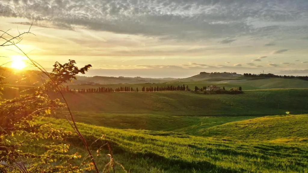 Azienda Agrituristica Il Poggetto Delle Spighe Collesalvetti 0*,